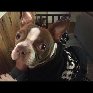 Meet your Posher, Aimee